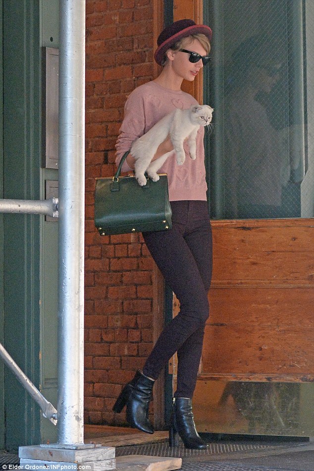 taylor swift topshop boots pet cat