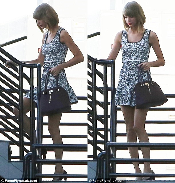 taylor swift's Aldo Frattapolesine bag! $50