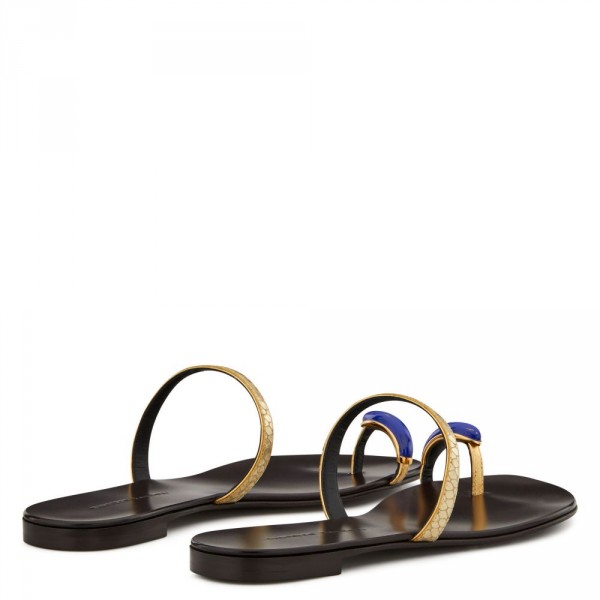 giuseppe zanotti ring